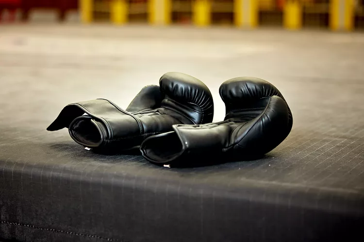 College Boxer Dies